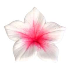 Colours Dust Fuchsia 7ml