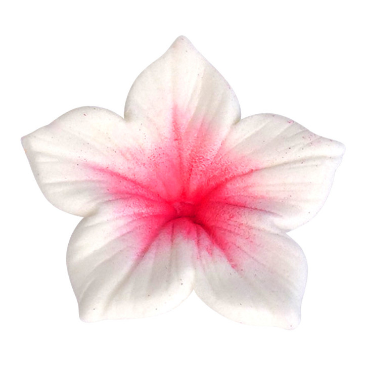 Colours Dust Fuchsia 7ml