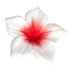 Colours Dust Vermelho 7ml