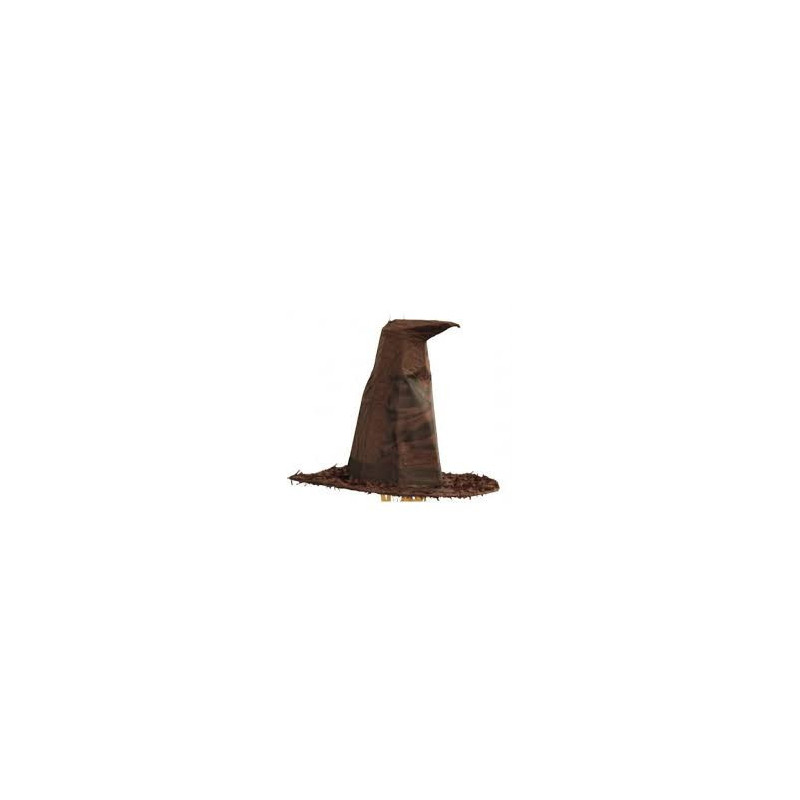 Pinhata Chapéu Harry Potter