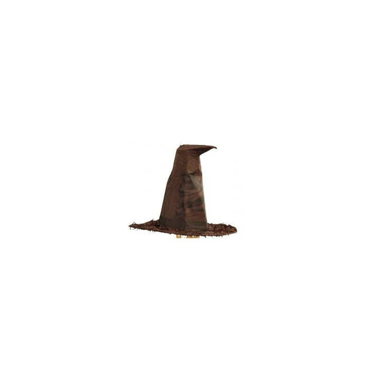 Pinhata Chapéu Harry Potter