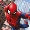 Homem Aranha